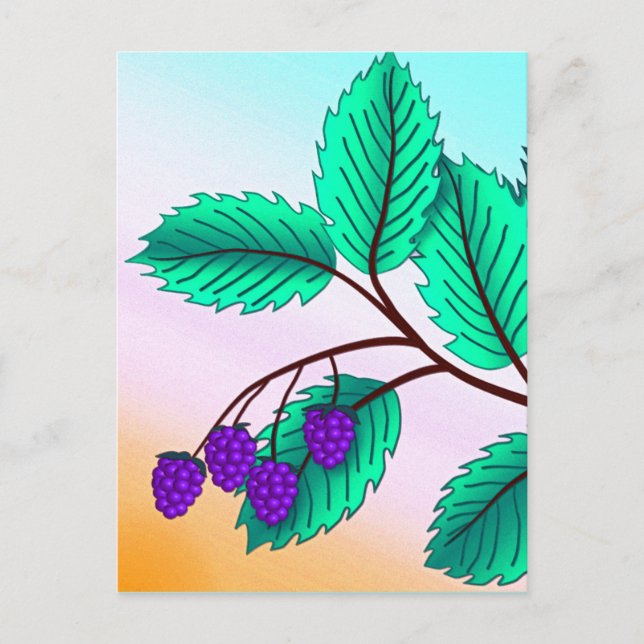 Postal Blackberries en una rama (Anverso)