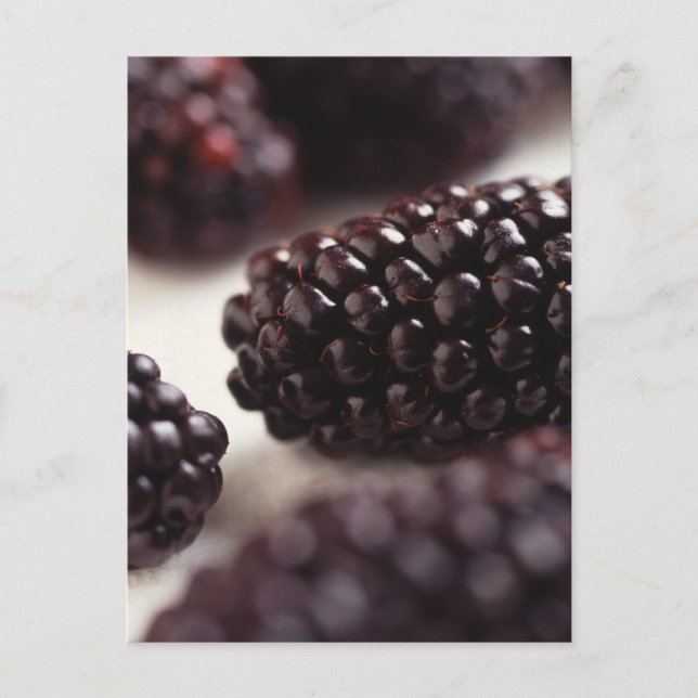 Postal Blackberry Closeup (Anverso)
