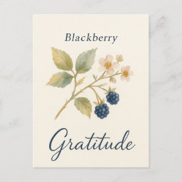 Postal Blackberry — Gratitude Postcard