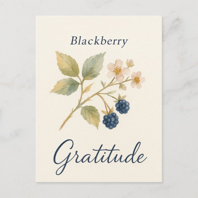 Postal Blackberry — Gratitude Postcard (Anverso)
