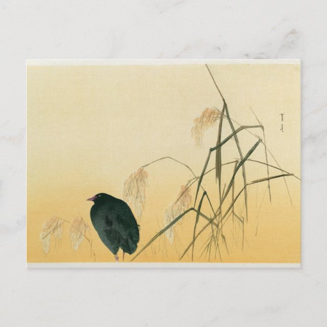 Postal Blackbird, Edo Period (Anverso)