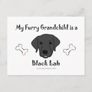 Postal BLackLab