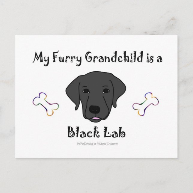 Postal BLackLab (Anverso)