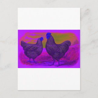 Postal BlackLight