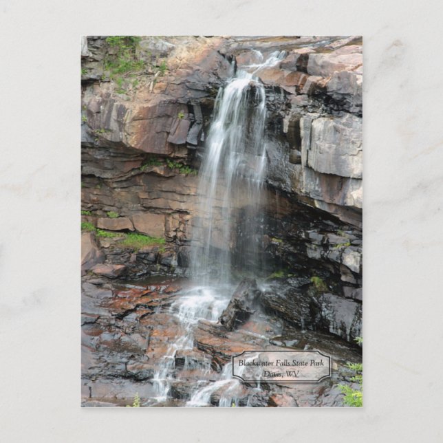 Postal Blackwater cae Davis WV Postcard (Anverso)