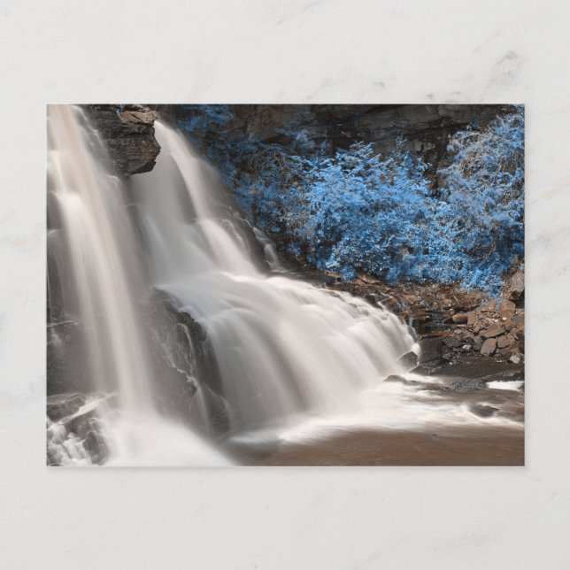 Postal Blackwater Falls State Park West Virginia (Anverso)