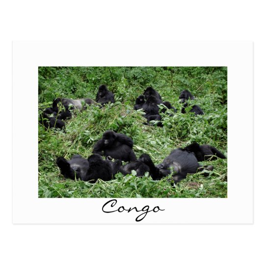 Postal blanca de la frontera de Congo del grupo