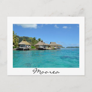 Postal blanca de los bungalows Moorea