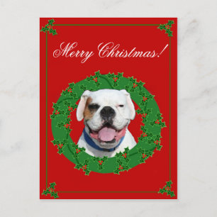 Postal blanca del boxeador del navidad