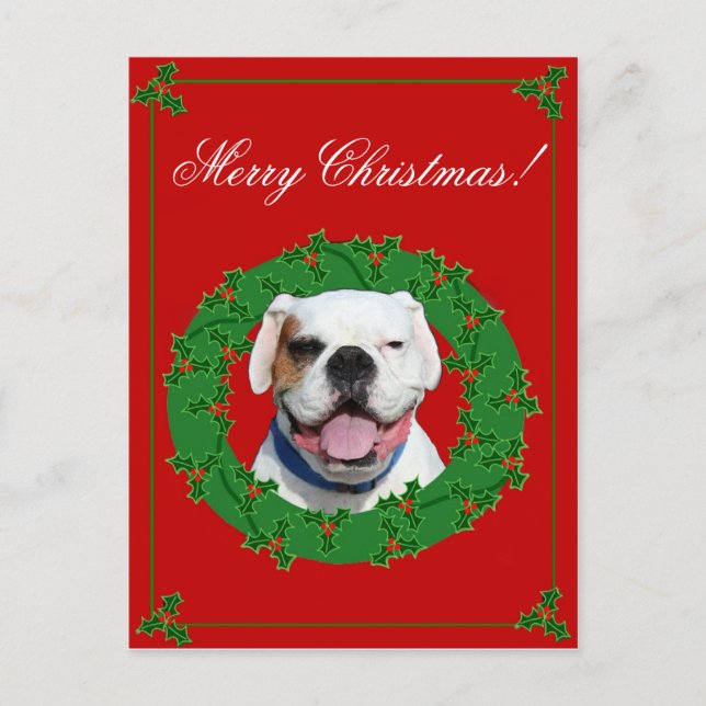Postal blanca del boxeador del navidad (Anverso)