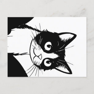 postal blanca negra de gato lindo