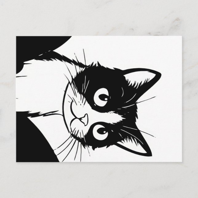 postal blanca negra de gato lindo (Anverso)