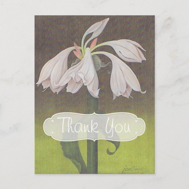 Postal Blancas Florales Gracias (Anverso)