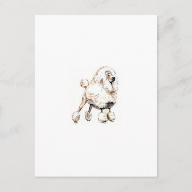 Postal Blanco de canapé estándar (Anverso)