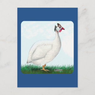 Postal Blanco de Guinea