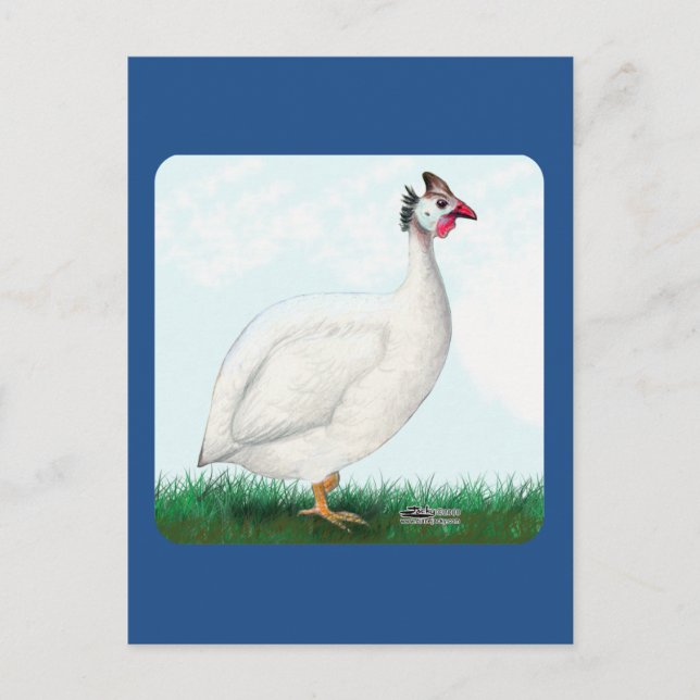 Postal Blanco de Guinea (Anverso)