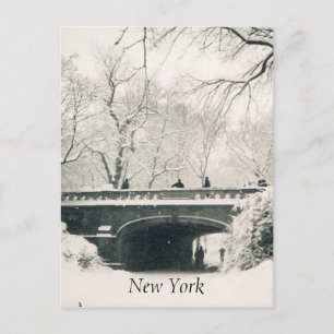 Postal blanco de nieve en el parque central