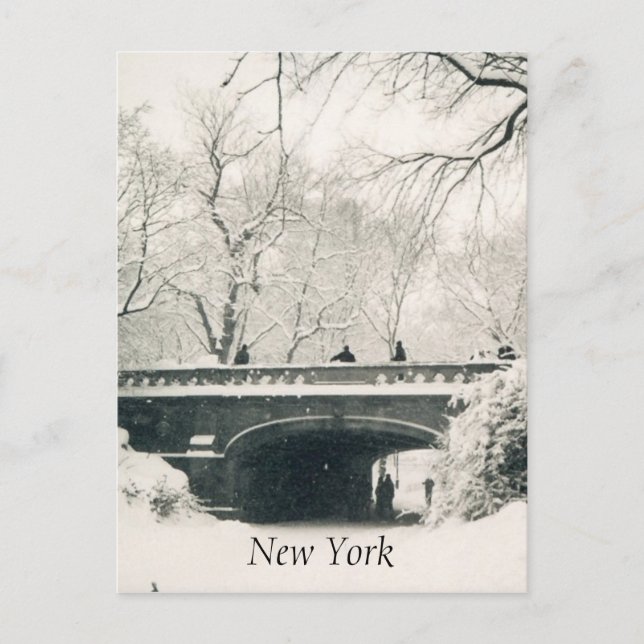 Postal blanco de nieve en el parque central (Anverso)