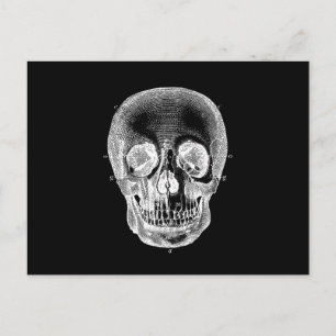 Postal Blanco negro anatómico retro de cráneo vintage de