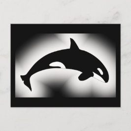 Postal Blanco negro de ballena asesina orca