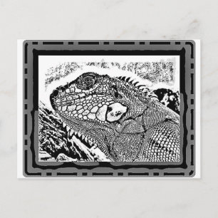 Postal Blanco/negro de Leguan