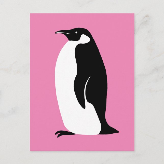Postal Blanco negro rosado pingüino lindo (Anverso)