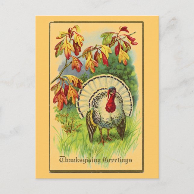 Postal Blanco Turquía del vintage (Anverso)