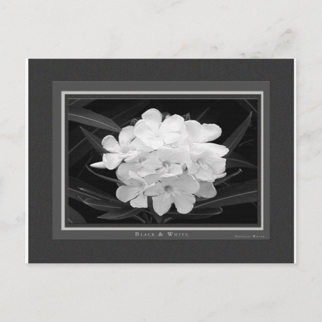 Postal Blanco y negro (Anverso)