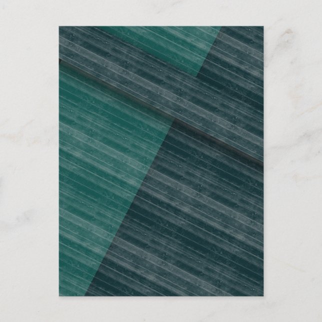 Postal blando (Anverso)