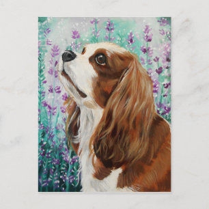 Postal Blenheim Cavalier King Charles Spaniel