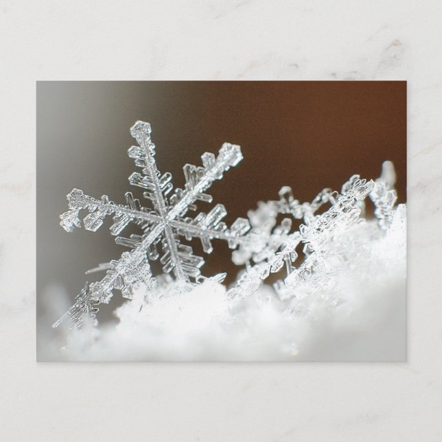 Postal Blizzard de 2009 (Anverso)