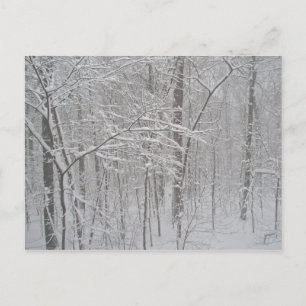 Postal Blizzard en febrero de 2010