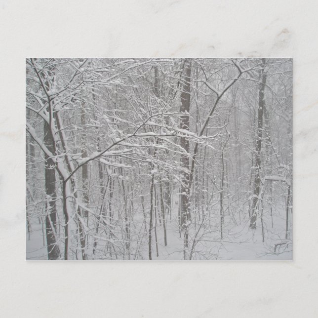 Postal Blizzard en febrero de 2010 (Anverso)