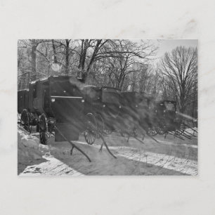 Postal Blk y White-Buggies a través de los rayos de sol