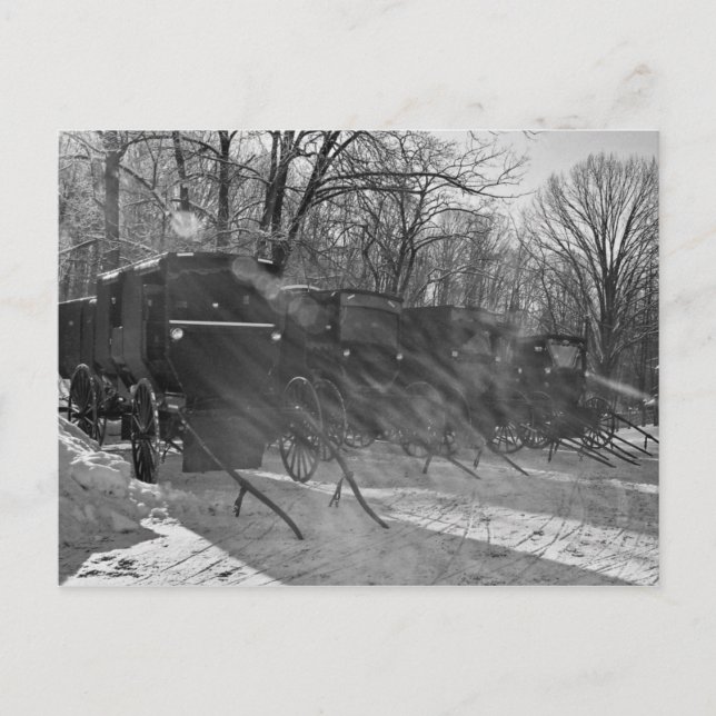 Postal Blk y White-Buggies a través de los rayos de sol (Anverso)