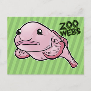 Postal Blobfish