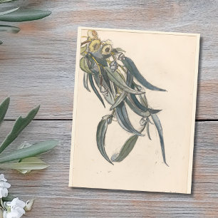 Postal Bloeiende tak van een eucalyptus