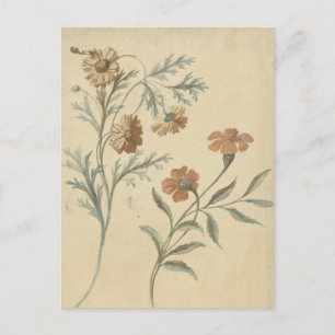 Postal Bloemstudie van een Rode en een Bruine Bloem