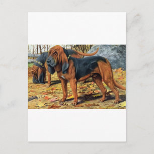 Postal Bloodhound