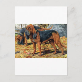 Postal Bloodhound