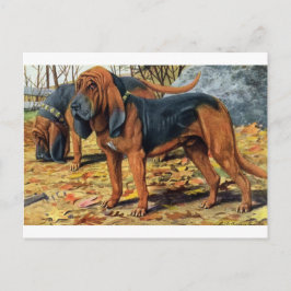 Postal Bloodhound