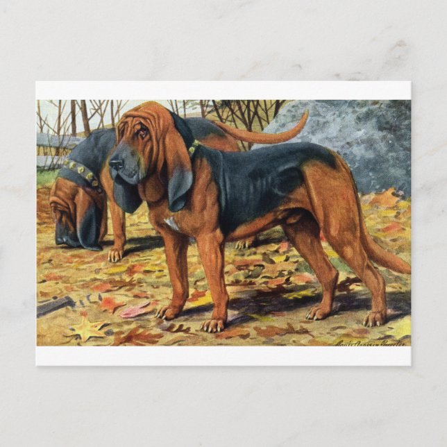 Postal Bloodhound (Anverso)