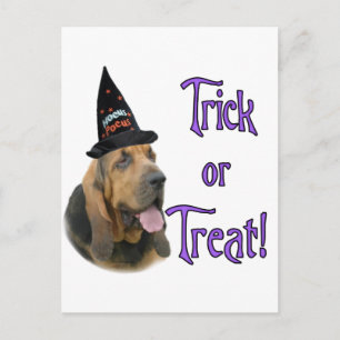 Postal Bloodhound Trick