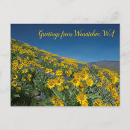 Postal Bloom Balsamroot en Sage Hills Wenatchee, WA