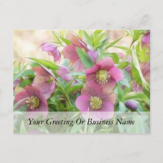 Postal ¡Bloom completo - Hellebores!