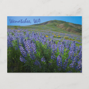 Postal Bloom de primavera en Sage Hills Wenatchee, Washin