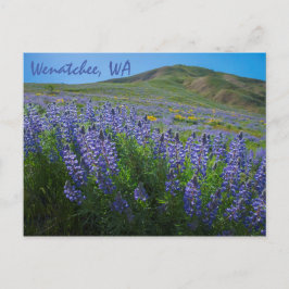Postal Bloom de primavera en Sage Hills Wenatchee, Washin