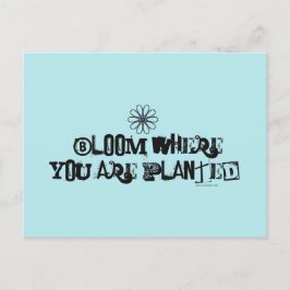 Postal Bloom donde estás plantado.