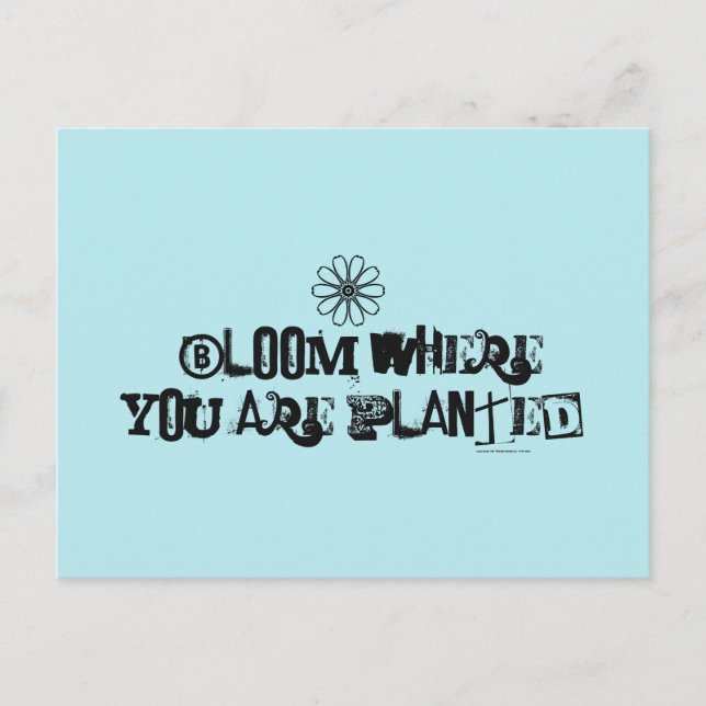 Postal Bloom donde estás plantado. (Anverso)