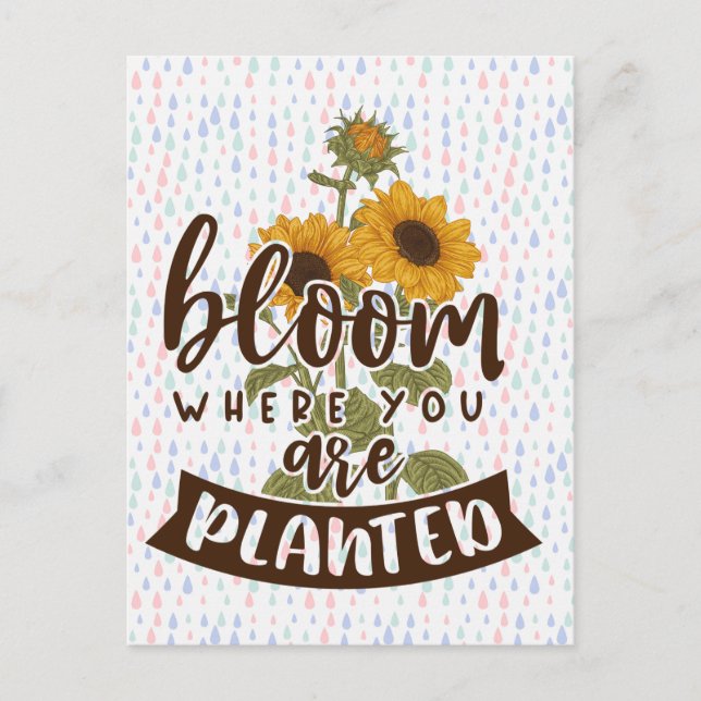 Postal Bloom Donde Te Plantan (Anverso)